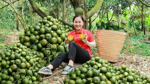 Làm Video Ngắn – Vừa Sáng Tạo, Vừa Kiếm Tiền Với Công Cụ Hữu Ích_Ý tưởng khởi nghiệp