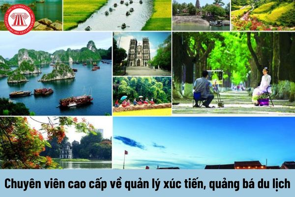 Chuyên gia Hotspot Matrix phân tích: Hé lộ hậu trường siêu nhạc và marketing video_trung tâm đào tạo video