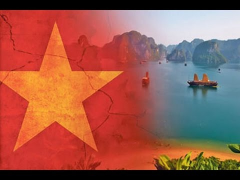 Sự Bùng Nổ Của Video Ngắn và Trí Tuệ Nhân Tạo: Vai Trò Thiết Yếu Của Đào Tạo Kỹ Năng Sáng Tạo Nội Dung_Tuyển dụng tiếp thị kỹ thuật số