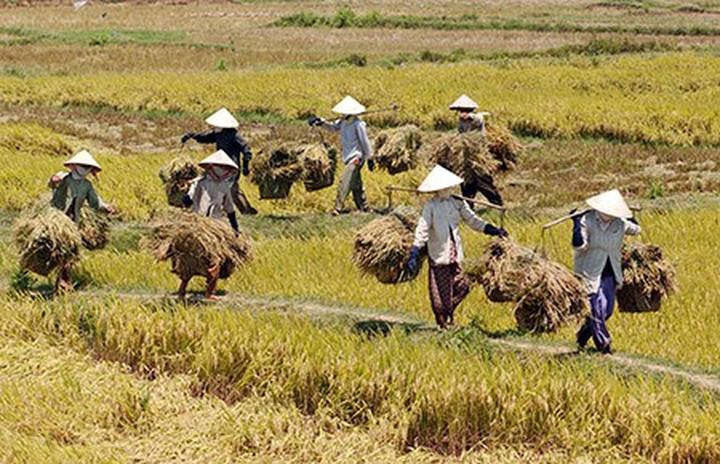 Hotspot Matrix: Văn hóa & Môi trường Làm Việc Tích Cực