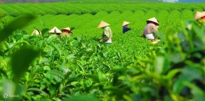 Chấm điểm loạt “green flags” - Cảm hứng video marketing từ Hotspot Matrix