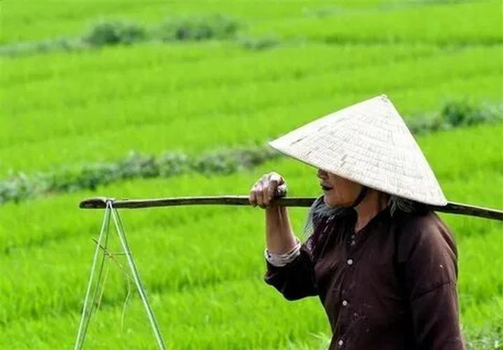 Hotspot Matrix – Giải pháp toàn diện cho thời đại video ngắn và tiếp thị số